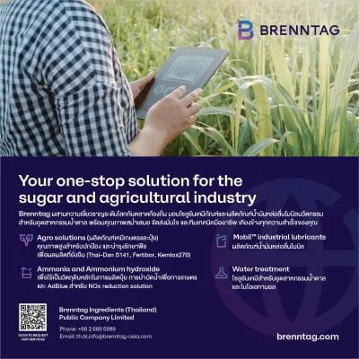 BRENNTAG INGREDIENTS (THAILAND) PUBLIC COMPANY LIMITED