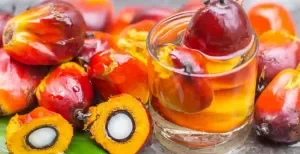 Palm Oil Refineries