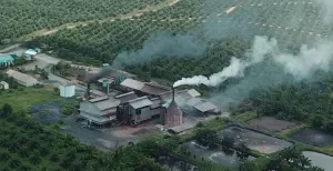 Palm Oil Refineries