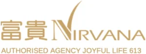 Nirvana Logo